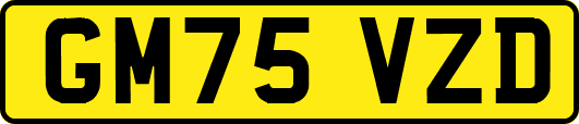 GM75VZD