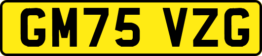 GM75VZG