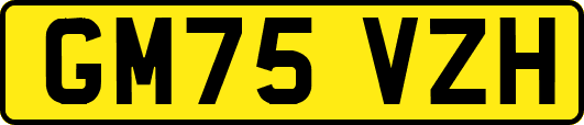 GM75VZH