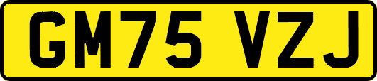 GM75VZJ