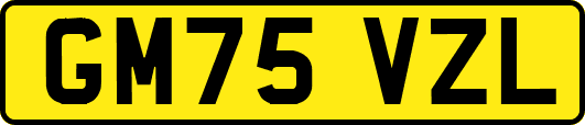 GM75VZL