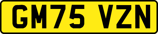 GM75VZN