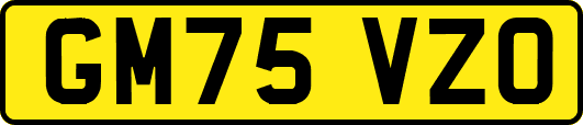 GM75VZO