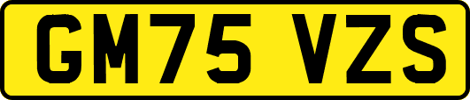 GM75VZS