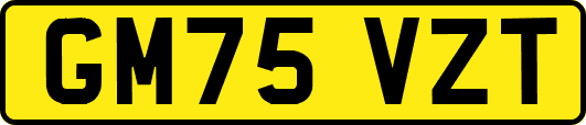 GM75VZT