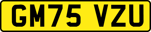 GM75VZU