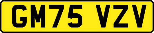 GM75VZV