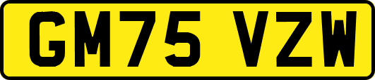GM75VZW