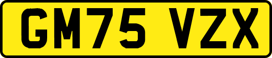 GM75VZX