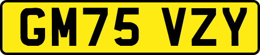 GM75VZY