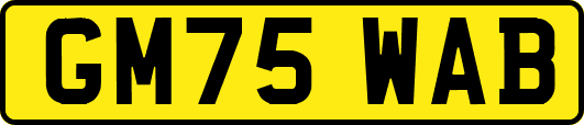 GM75WAB