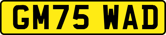 GM75WAD