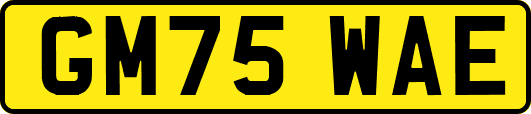 GM75WAE