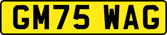 GM75WAG