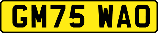 GM75WAO