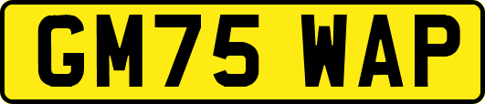 GM75WAP