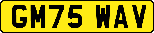 GM75WAV