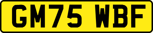 GM75WBF