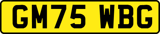 GM75WBG