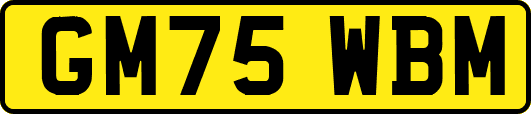 GM75WBM