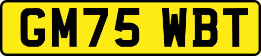 GM75WBT