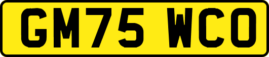 GM75WCO