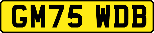 GM75WDB