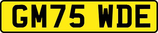 GM75WDE