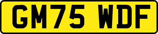 GM75WDF