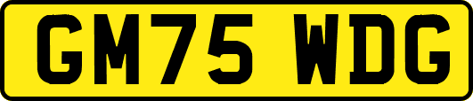 GM75WDG