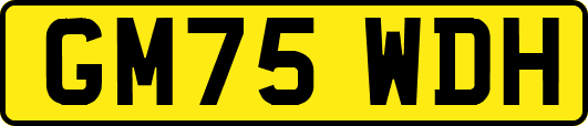 GM75WDH