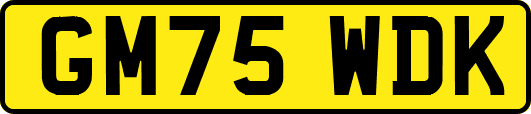 GM75WDK