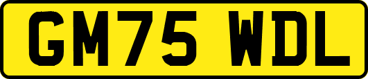 GM75WDL