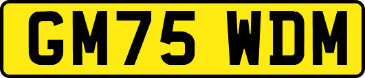 GM75WDM