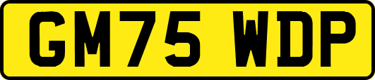 GM75WDP