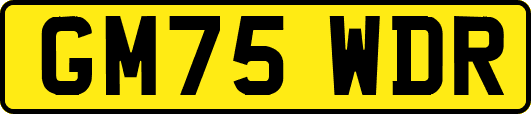 GM75WDR