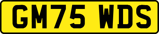 GM75WDS