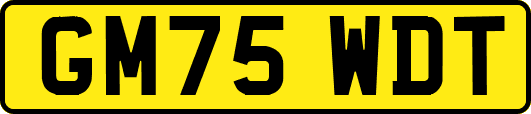 GM75WDT