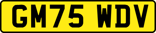 GM75WDV