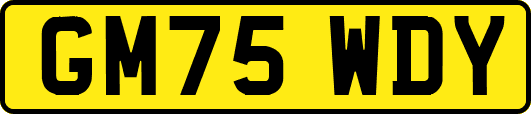 GM75WDY