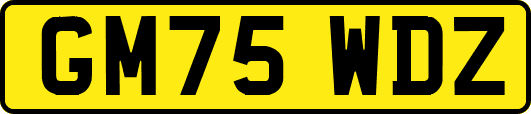 GM75WDZ