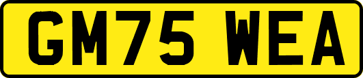 GM75WEA