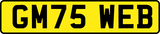 GM75WEB