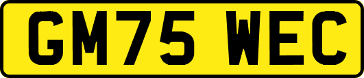 GM75WEC