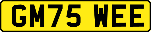 GM75WEE