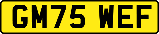 GM75WEF