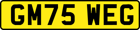 GM75WEG