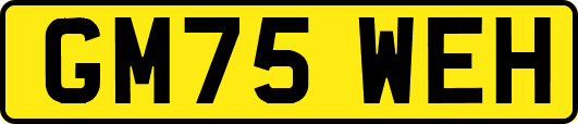 GM75WEH