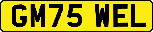 GM75WEL