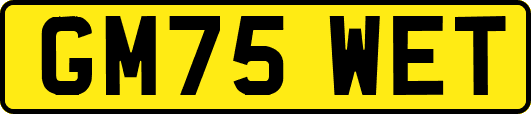 GM75WET